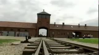 Освенцим: Путешествие в Ад
