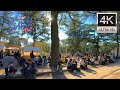 つるまち文化祭2025・鶴舞公園 Walking around Tsurumachi Cultural Festival