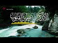 Strong Ruqyah for Self Healing and Energy Cleansing | Ayat of Tranquility | SAKINAH