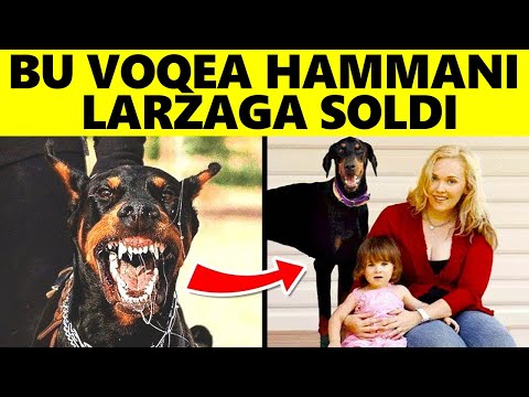 Video: Yirtqichlik va parazitlik nima?