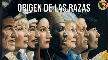 ¿Cómo se desarrollaron las razas?