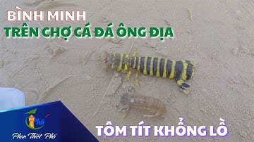 Bình minh trên chợ hải sản Đá Ông Địa cuối tuần - Phan Thiết Phố  🏖