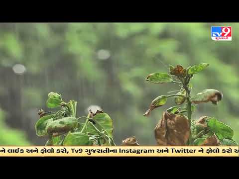 અમદાવાદના શાહીબાગમાં ઝરમર વરસાદ | Tv9Gujaratinews