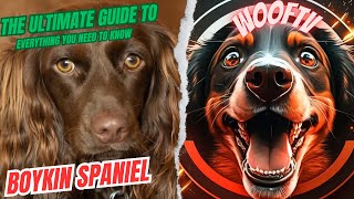 The Ultimate Guide to Boykin Spaniel: Everything You Need to Know by WoofTV 4 views 1 year ago 1 minute, 37 seconds