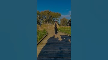 Diamond warga | Punjabi song | Jatt | baby #trending #newpunjabisong #fun #shorts #jatt #maan #song