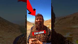 How To Escape A Bee Swarm