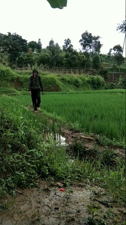 menikmati suasana alam #alam #cintaalam #nature