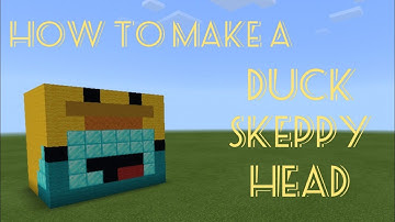 How to make a duck Skeppy head in Minecraft