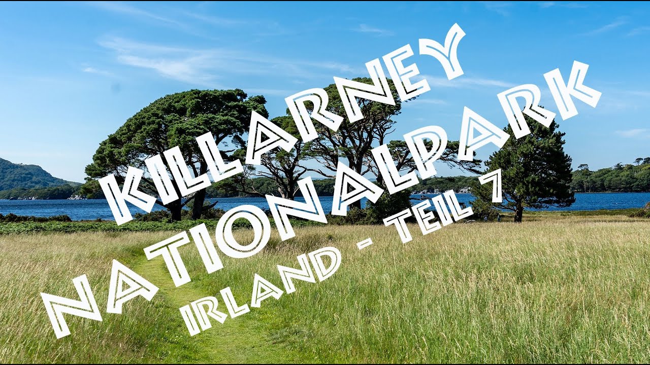 Killarney National Park - Irland Teil 7 - Zwa Wiener im Grünen in 4K
