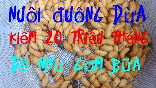 ĐÓNG HỘP ĐUÔNG DỪA GỬI CHO KHÁCH HÀNG