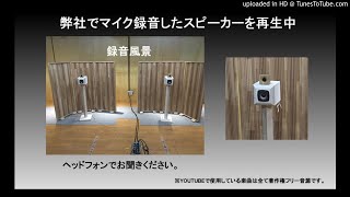 点音】Z600-Modena | 音工房Z