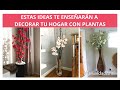 Aprende Con Estas Ideas Cómo Decorar Tu Casa Con Plantas