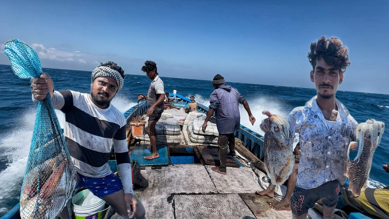 OMG😱 Deep Sea Adventure | Catching Elusive 🦑Cuttlefish!