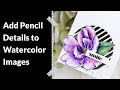 Adding Pencil Detail to Watercolor Images