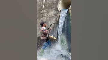 Cá Lớn - hứng Cá Chép Khủng dưới cống nước 😱 #khacthuyvlogg