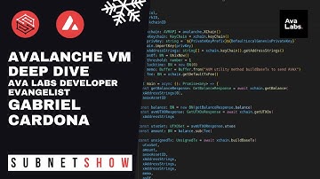 What is an Avalanche Virtual Machine? Avalanche Virtual Machine Deep Dive
