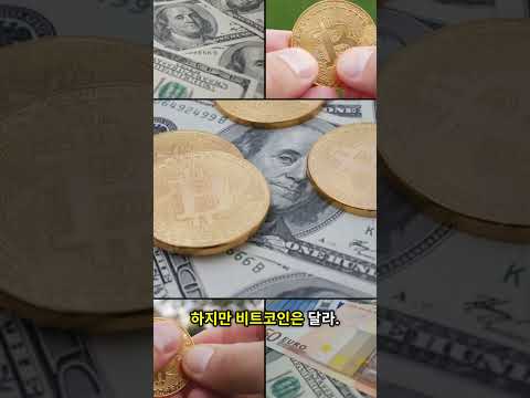 지금 안 모으면 손해  비트코인 30초 핵심 #비트코인 #비트코인전망 #비트코인실시간 #비트코인하는법
