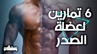 6 Chest exercises | 6 تمارين لعضلة الصدر