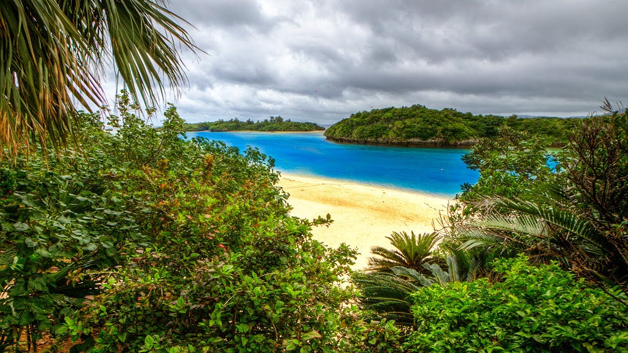 Soothing Ocean Sound of Gentle Waves on a Tropical Beach, Soothing