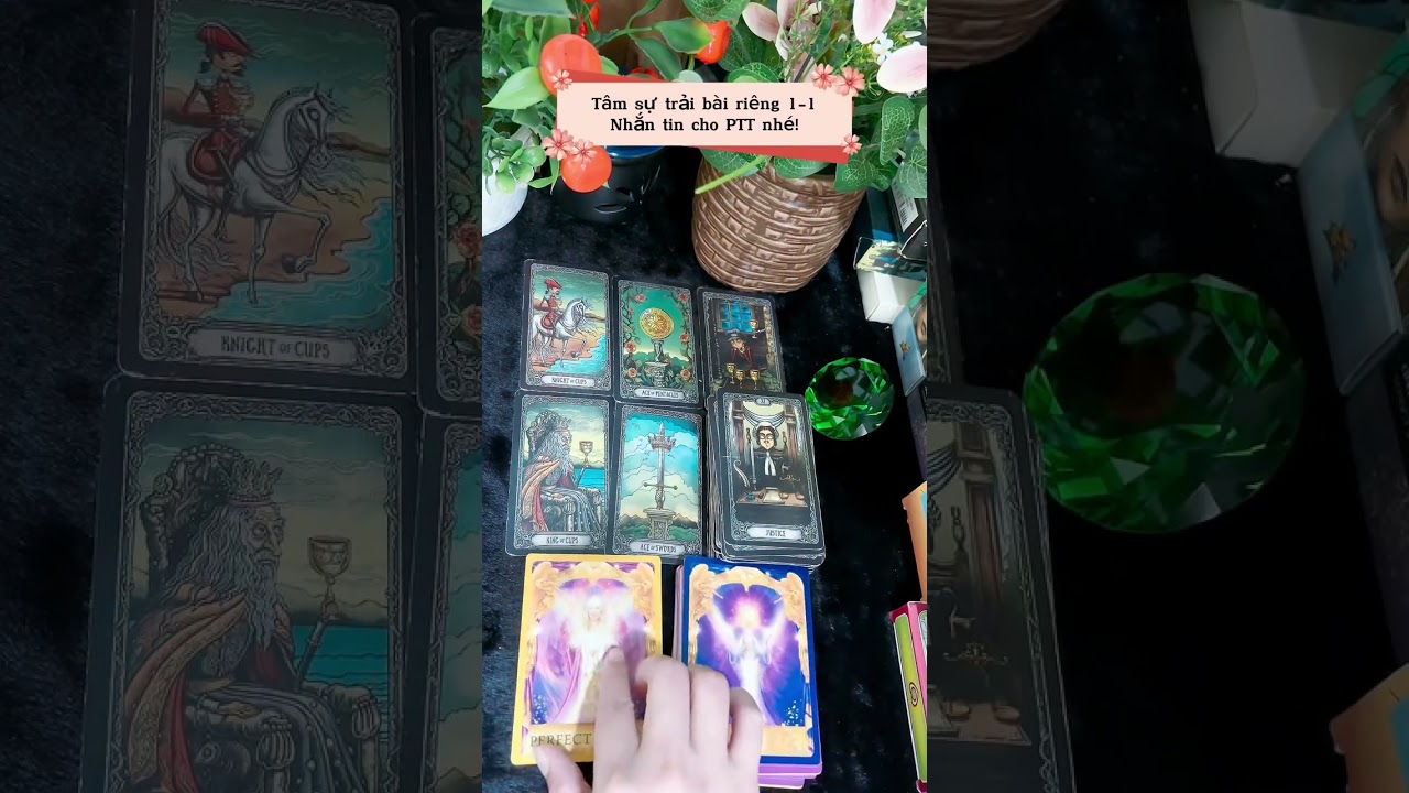 Diễn biến tiếp theo trong mqh của bạn và đối phương? Trải bài chung (timeless)