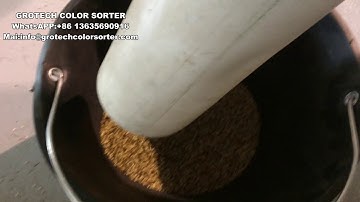 GroTech sesame color sorter RGB TYPE