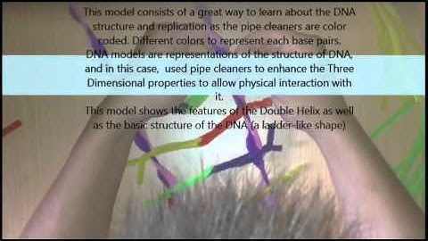 How to Build a DNA model with Pipe Cleaners