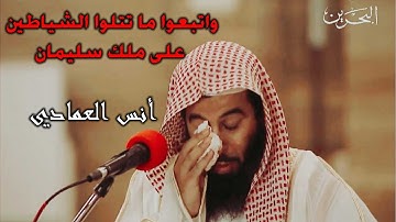 واتبعوا ما تتلوا الشياطين على ملك سليمان تلاوة هادئة تريح الاعصاب للقارئ أنس العمادي
