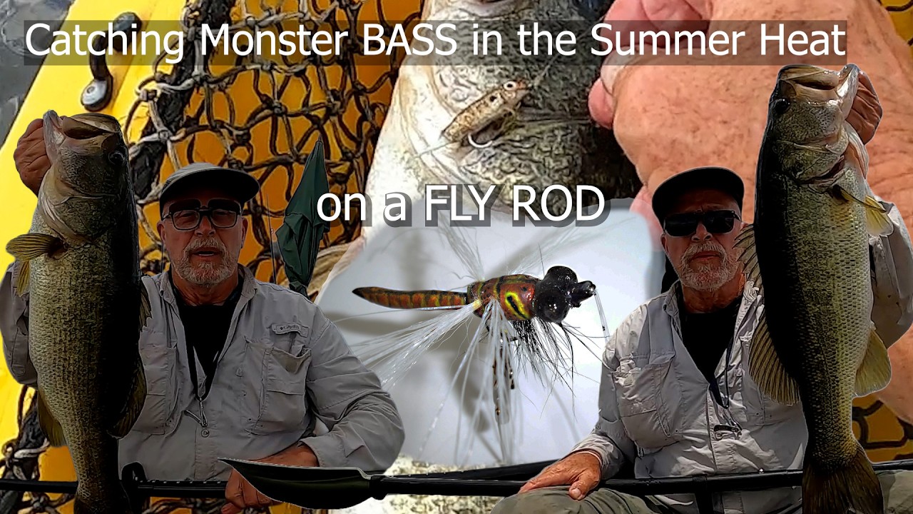 Catching Monster Bass in Summer Heat on a Fly Rod