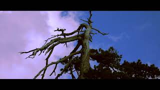Troodos Mountain - Reportage Video Production In Cyprus