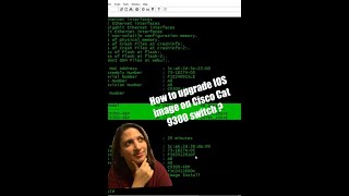 cisco ios xe gibraltar vs fuji cisco ios xe gibraltar vs fuji