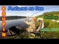 Рыбалка на Оке.Фидер. 02-03 июня 2016г.