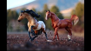 Breyer Model Horse Photography February  2018