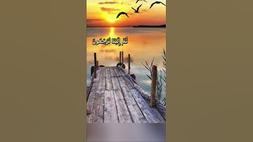 كُلُّ نَفْسٍ ذَائِقَةُ الْمَوْتِ ۖ ثُمَّ إِلَيْنَا تُرْجَعُونَ❤️#سورة_العنكبوت