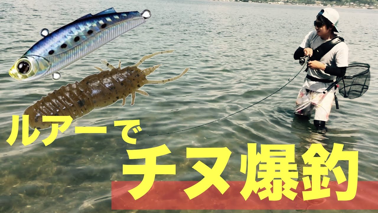 クロダイ大爆釣 パターンにハマればチヌはこんなに簡単に釣れる Youtube