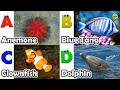 ABC phonics animals | ABC Sea Animals song | English and Animals for Kids | Alphabet Kid Song | Baby