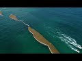 Sargaboat collects the sargassum seaweeds before it reaches the shore