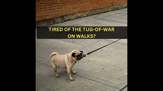 Say goodbye to the tugofwar on walks! Transform your walks with True Love Harness