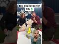 Would Your Dog Pick $10,000 or Steak? Mr. beast #shorts #ytshorts
