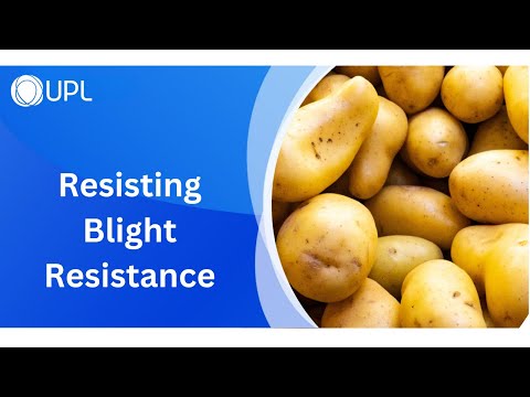 Resisting Blight Resistance
