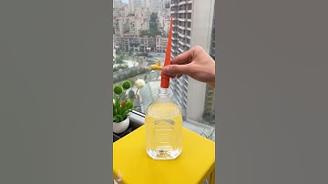 Van tưới nhỏ giọt tự động - Chấm dứt nỗi lo xa nhà của bạn