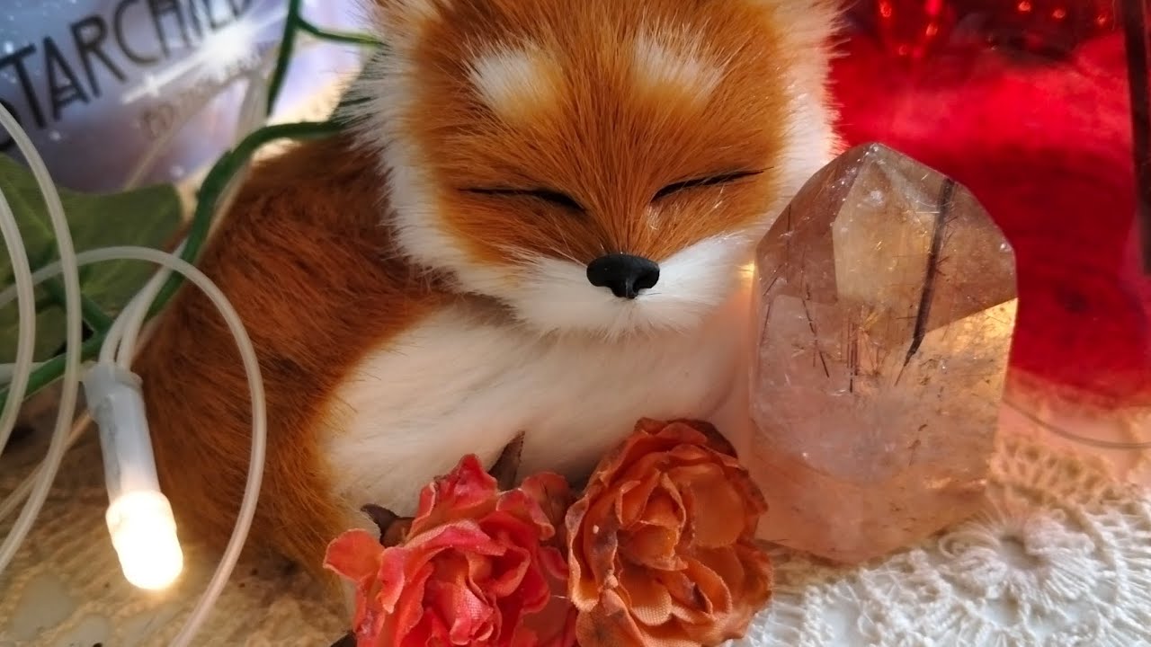 🦊✨Escrito✨en las estrellas✨🦊 #tarot #tarotinteractivo #mensaje #canalizacion 