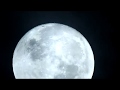 B.o.B - Stanley Kubrick (Nikon P900 Video) 
