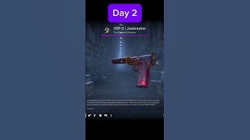 Opening A Case A Day Until I Get A Gold #csgo #cs2 #chillvibes #gaming #knife #goldgoldgold