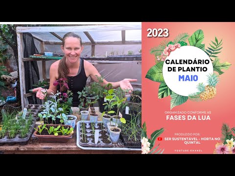 Vídeo: Calendário Regional de Plantio: O que plantar em maio nos jardins do sudeste