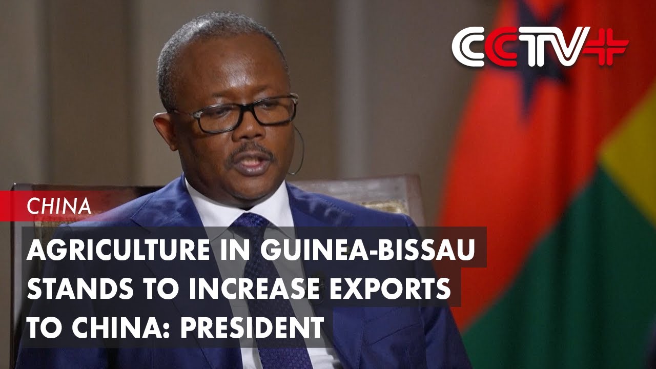 Agriculture in GuineaBissau Stands to Increase Exports to China