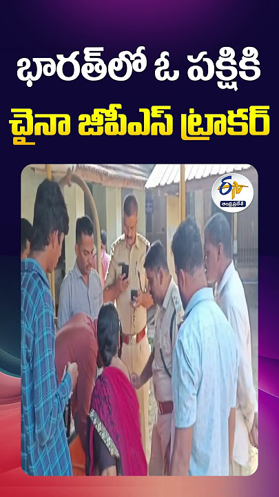 Download lagu భారత్లో ఓ పక్షికి చైనా జీపీఎస్ ట్రాకర్