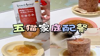 五猫家庭配餐｜就是爱啃800g地雷罐～ by Gu Xiaopang in the kitchen 118 views 1 month ago 3 minutes, 19 seconds