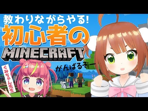 【初心者】はじまてのマイクラ配信