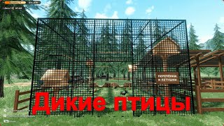 картинка: 🐶Ranch Farm and Store Simulator🐔|Клетка для птиц помошник |#4