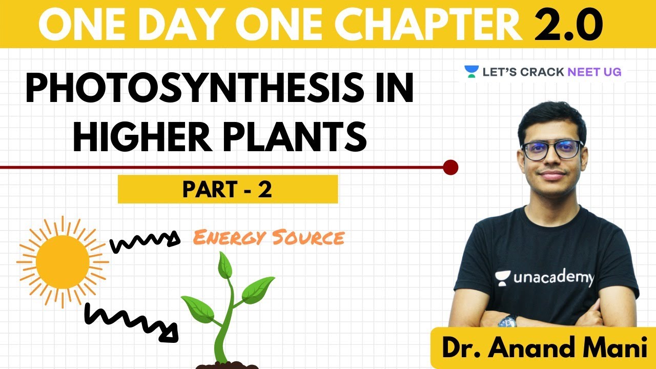 Photosynthesis In Higher Plants | Part 2 | One Day One Chapter | NEET Biology | NEET 2020